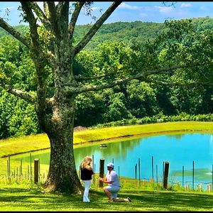 Meet your Posher, Shane